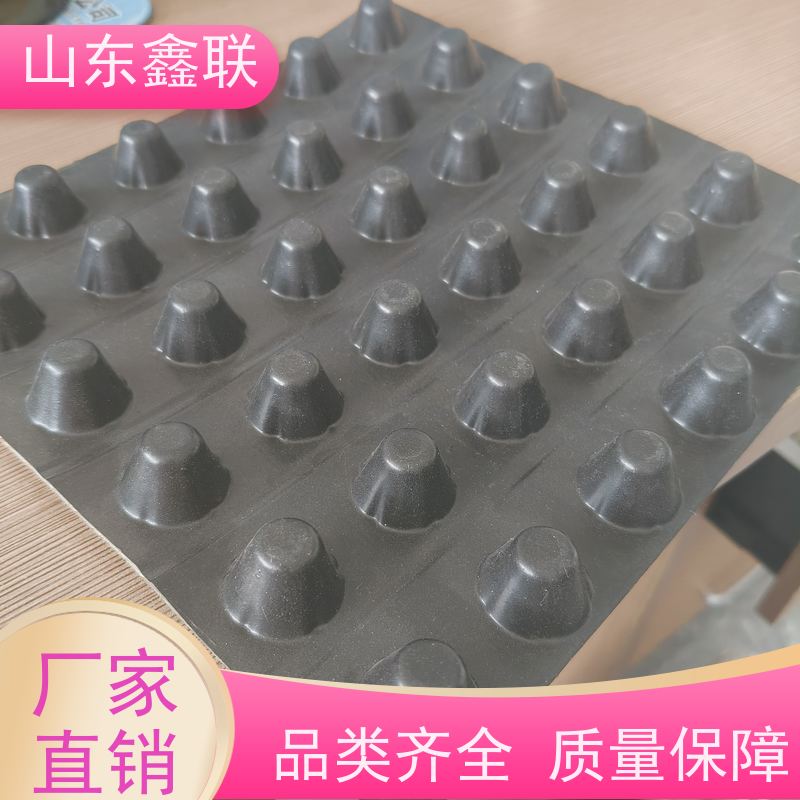 咸 阳HDPE凹凸型排水板 H30帽高蓄水排 水板 绿化小区