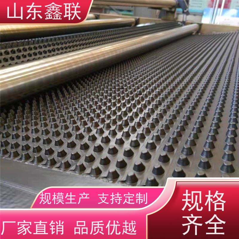 塑料排水板凹凸型排蓄水板屋顶绿化疏水滤水板HDPE鑫联新鑫联新新