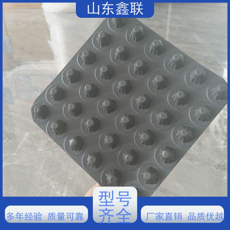 排水板塑料板生产厂家8mm1.01.2板 防护虹吸收集系统