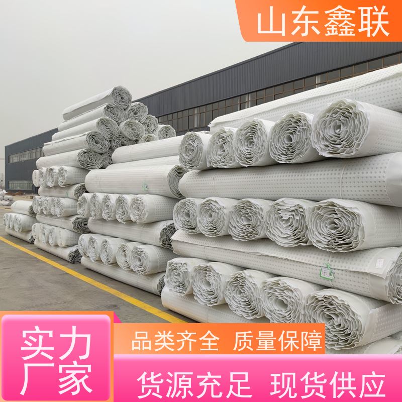 塑料凹凸型排水板 16高蜂窝型卷材 车库顶板高强度疏水板源头工厂