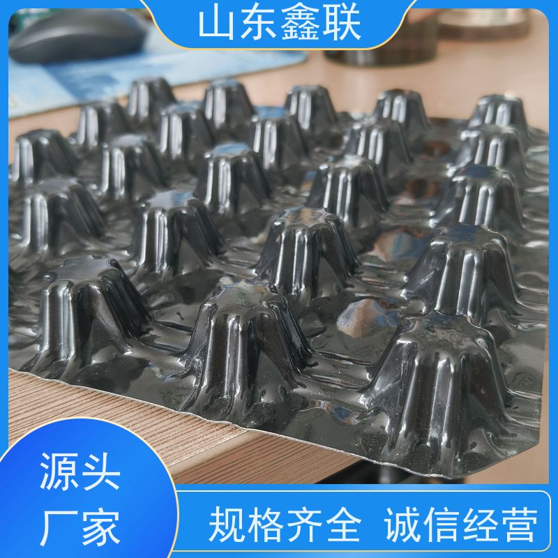 龙旗 高强度HDPE塑料排水板 屋顶绿化工程夹层疏水板 H25mm可定制