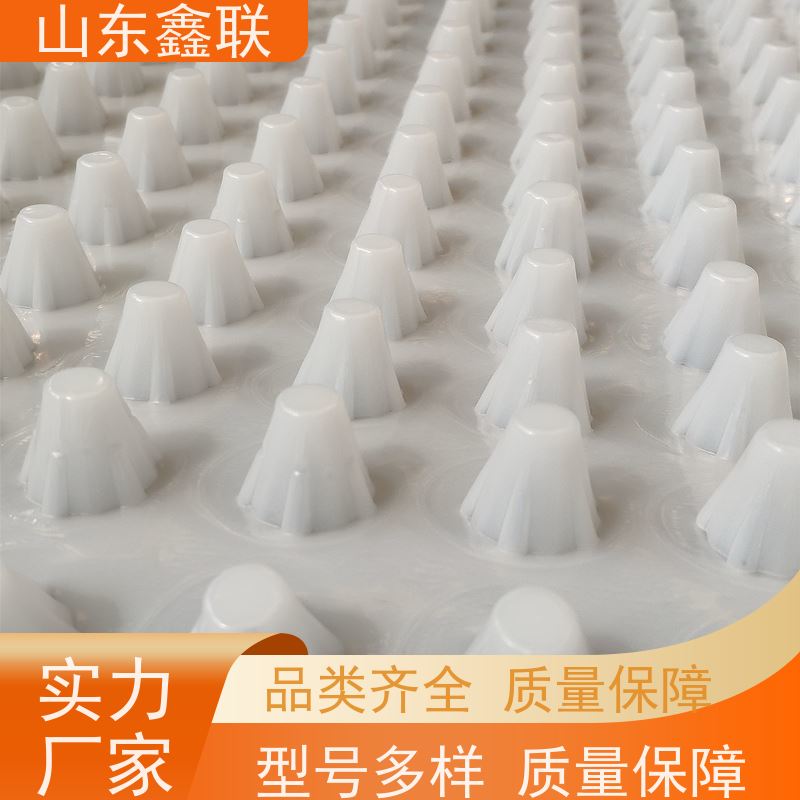 H20车库塑料排水板 屋顶花园疏水板 绿化工程用蓄水板 H25 H30 H50