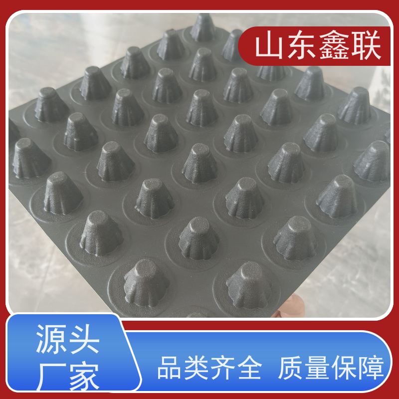玉 林凸点型塑料排水板 HDPE常用疏水板 楼顶绿化蓄水板 厂