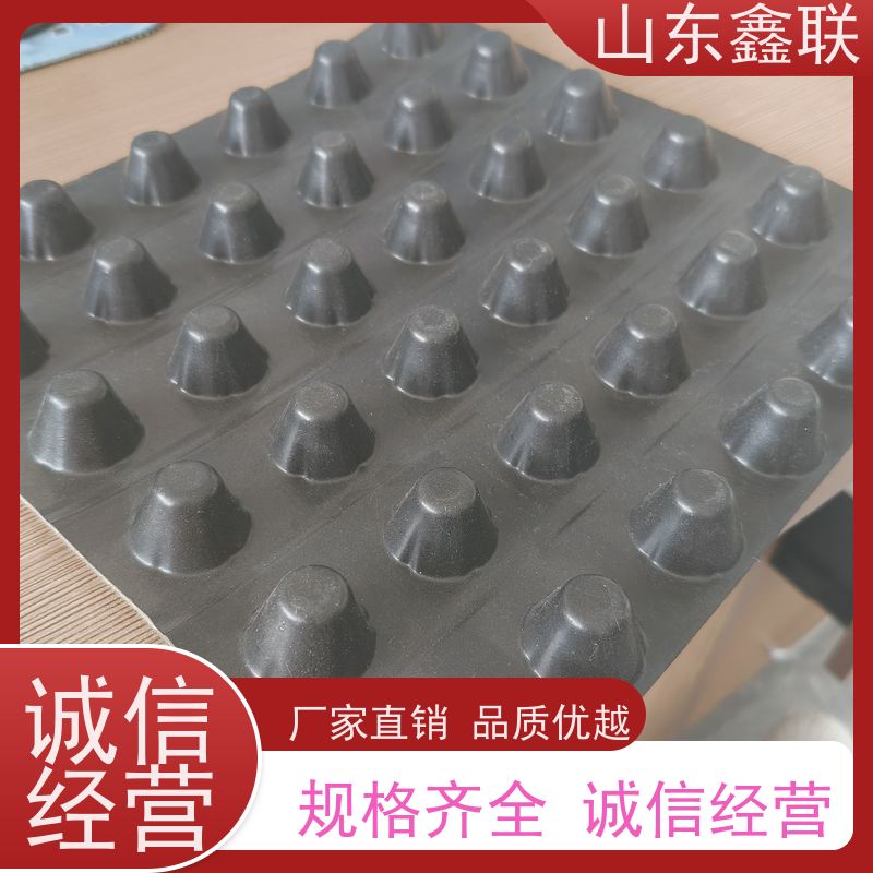 2公分成品塑料排水板 凸点向下透水疏水板生产厂