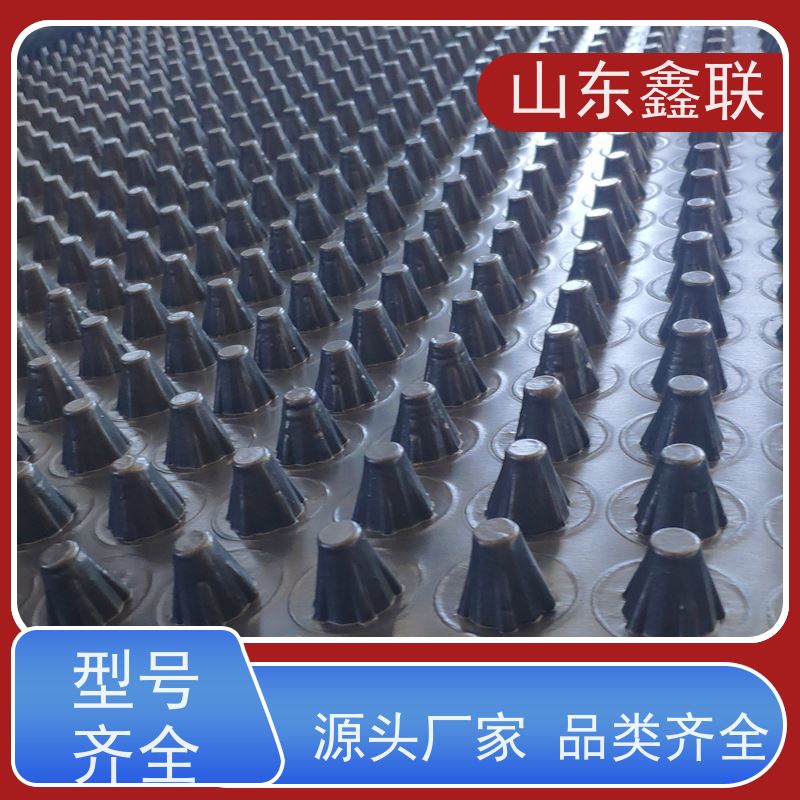 屋顶绿化3公分凹凸型排水板 高密度聚乙烯渗水板现货直发