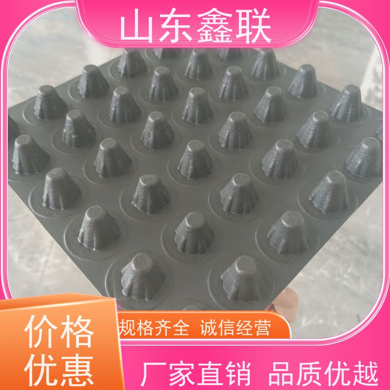 高密度聚乙烯排水板 建筑工程楼盘疏水 耐用抗老化