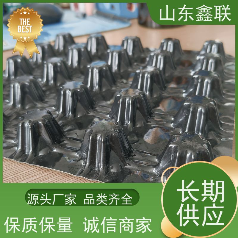 2公分高塑料排水板 凹凸蓄排 水板 屋顶花园疏水板