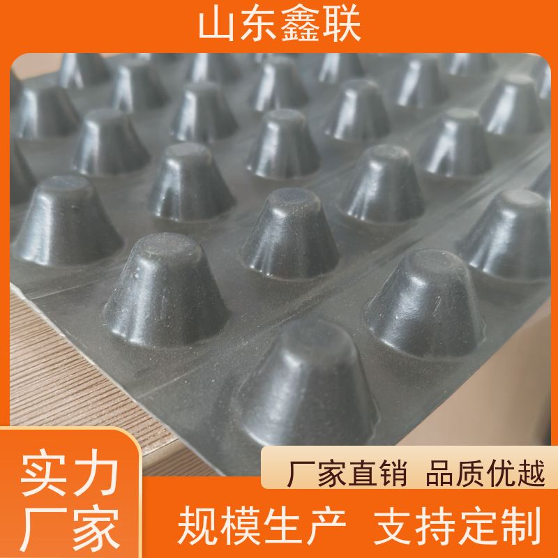 鑫联新 长效排蓄水板16厚高密度聚乙烯塑料排水板 车库隧道用防潮