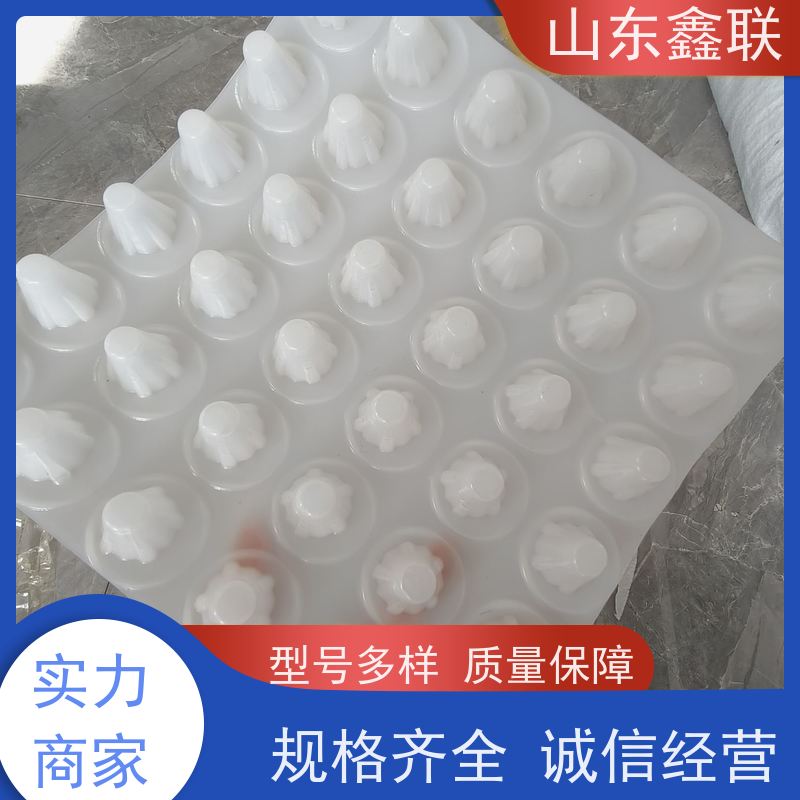 土工席垫 道路路基渗排水网垫 高分子聚丙烯pp 网状交织排水板