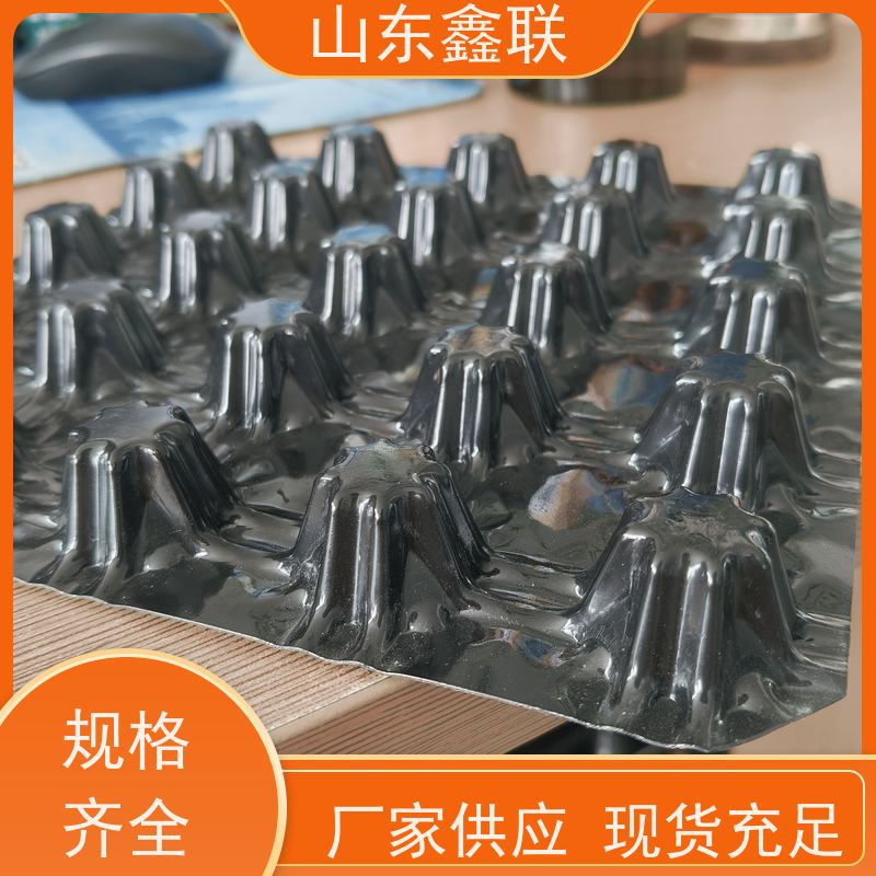 屋顶花园绿化排水板 优质塑料PVC疏水板 蓄水板高强度 耐腐蚀