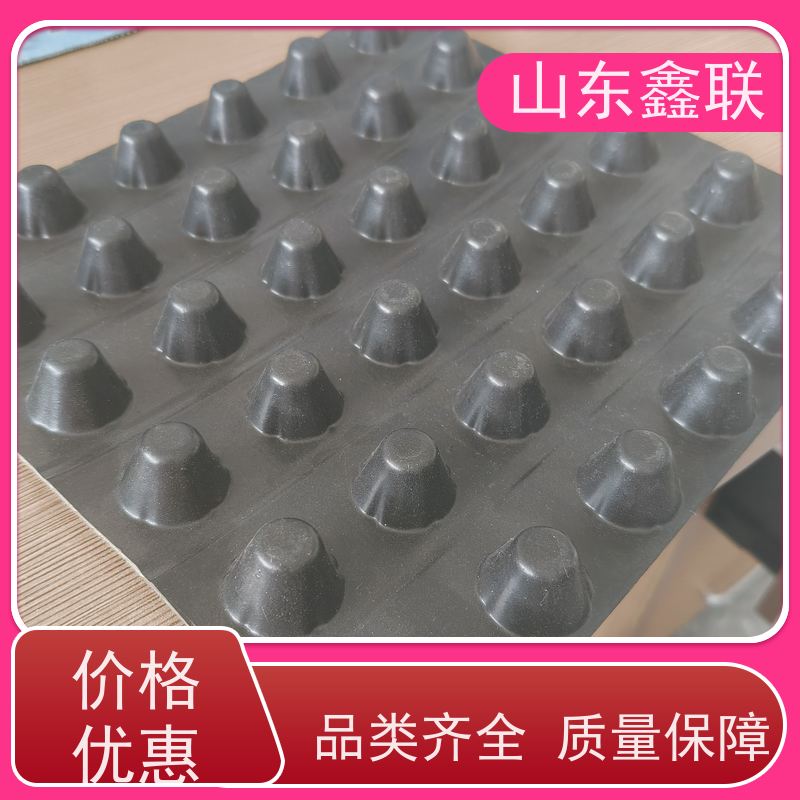 塑料鑫联新厂家 车库顶板绿化屋顶花园疏水 H20 H25 H30排水板