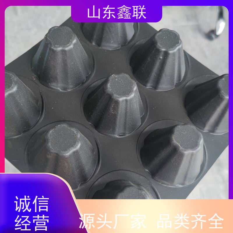 锦鹏 不变形 施工方便 隔滤阻根疏水虹吸塑料鑫联新