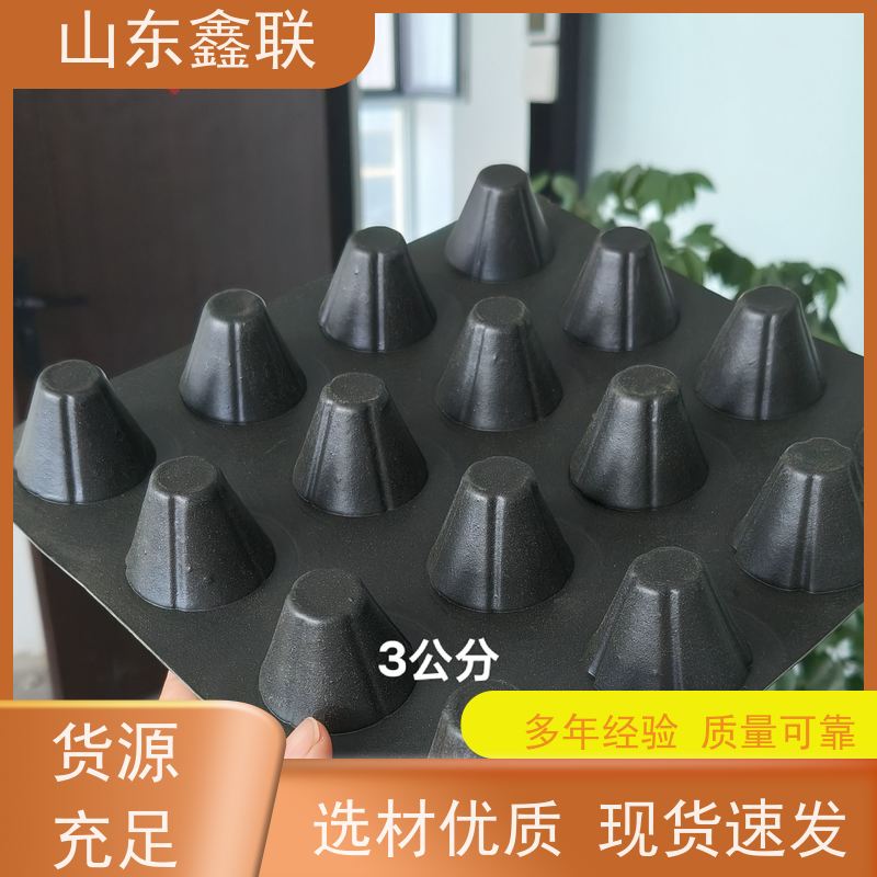 凹凸型塑料排水板 楼顶花园绿化种植hdpe防护 龙旗
