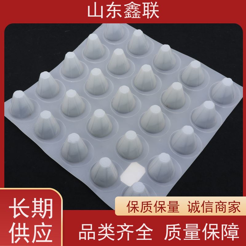 ped18高分子防护排蓄水异型片 白色纯新料高密度聚乙烯HDPE