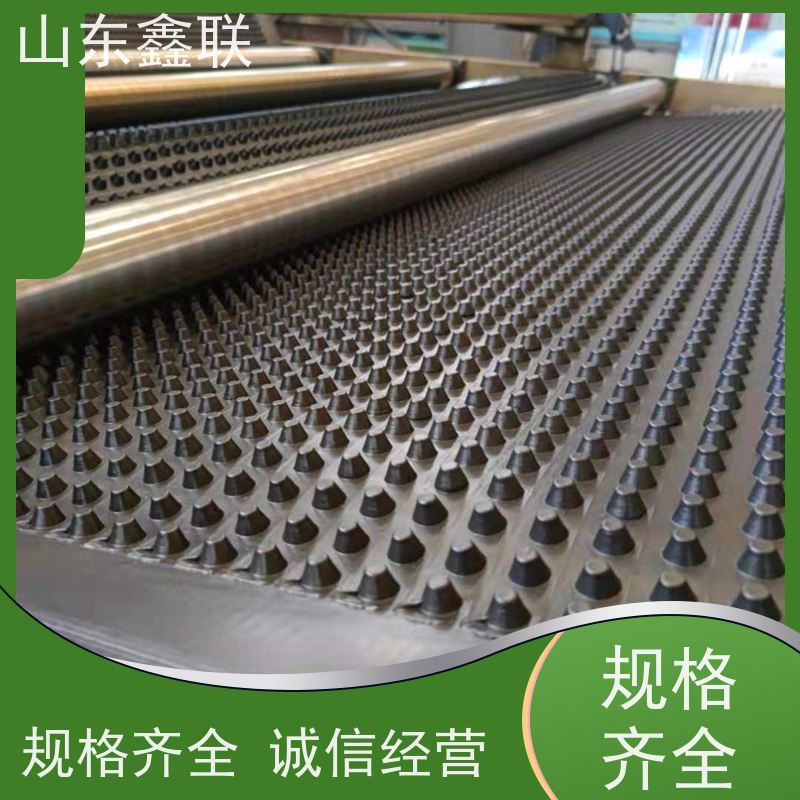 塑料排水板 厂家屋顶绿化导水板 高强度滤水性好 HDPE