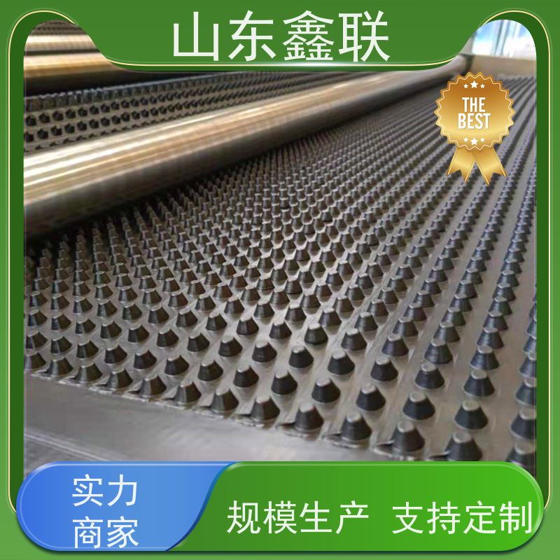 塑料凹凸排水板12mm25mm_凸高度20mm 鑫联新牌防根穿刺导水疏水板