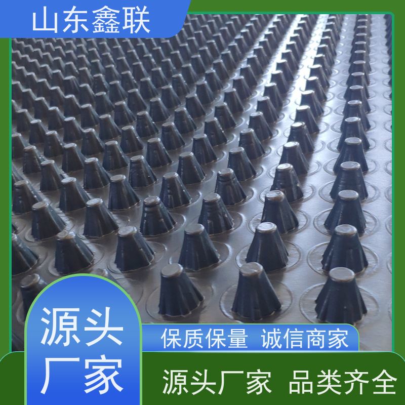 隔热 隔水 绿化凸点20高hdpe防水板 塑料排水板 规格齐全
