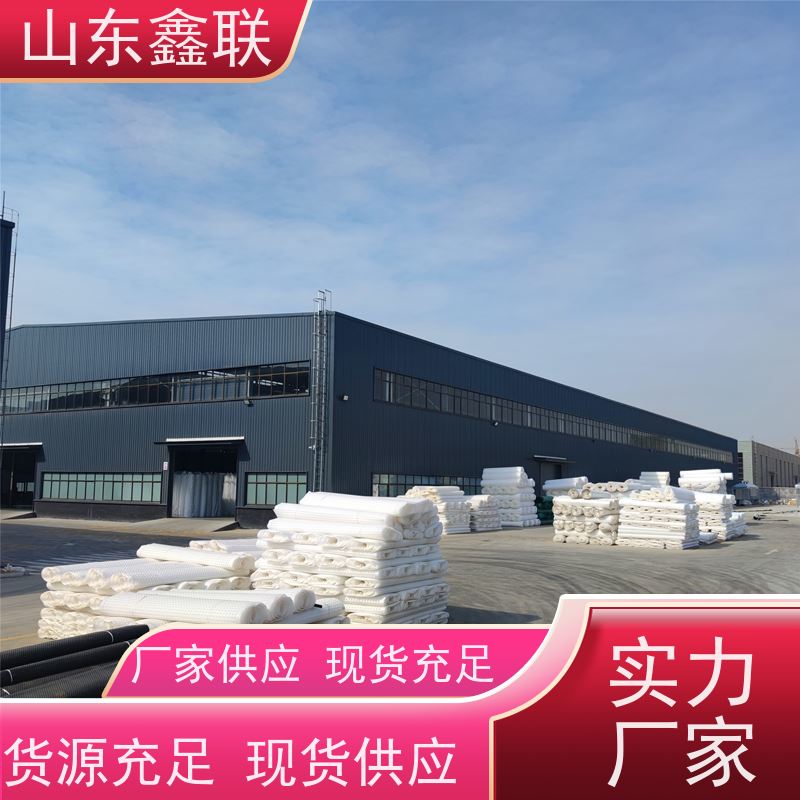 HIPS楼顶绿化塑料凹凸排水板 设计合理复合疏水板供货稳定