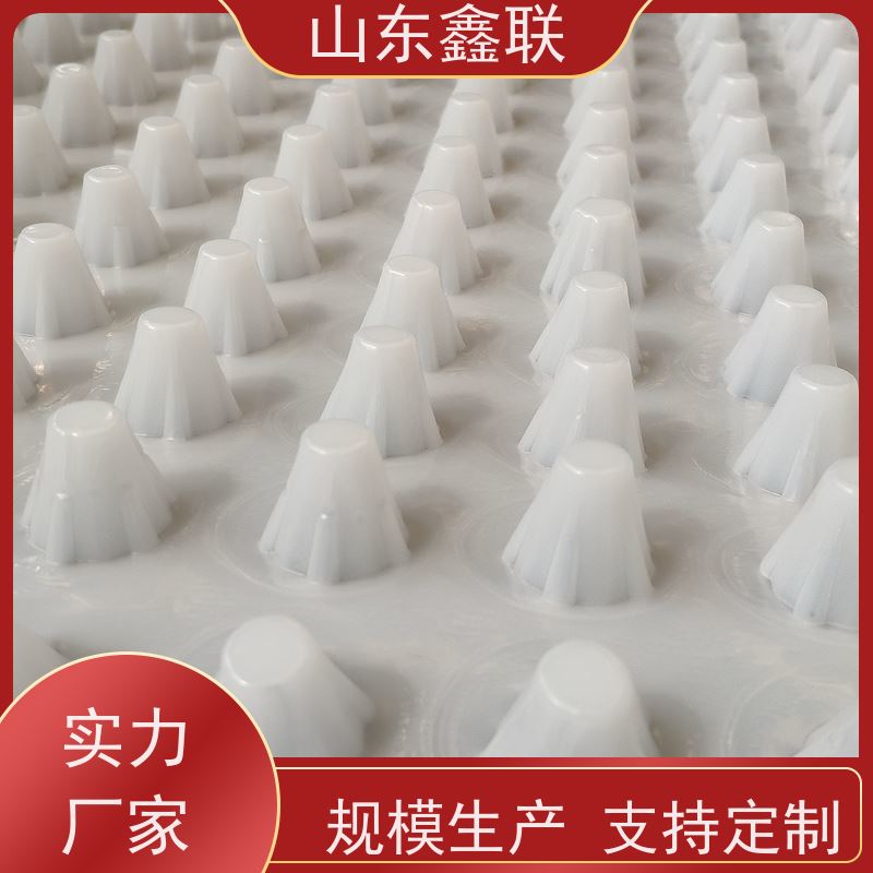 鑫联 高密度聚乙烯疏水板 HDPE地下车库鑫联新 加工定制