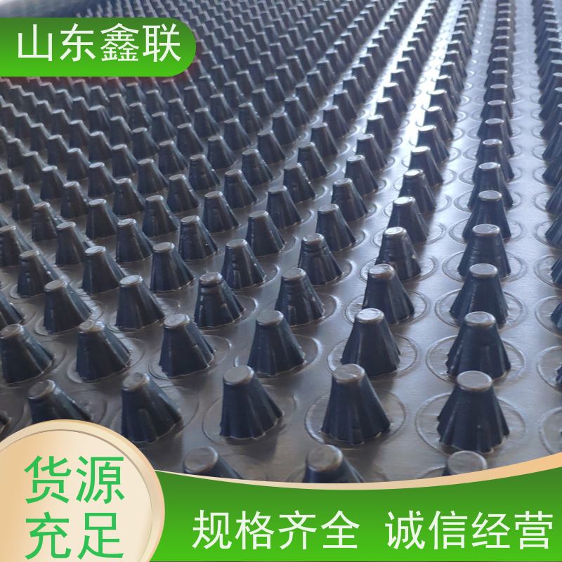 HDPE塑料排水板 凹凸型卷材车库绿化疏水板 8mm-60mm 及时发货