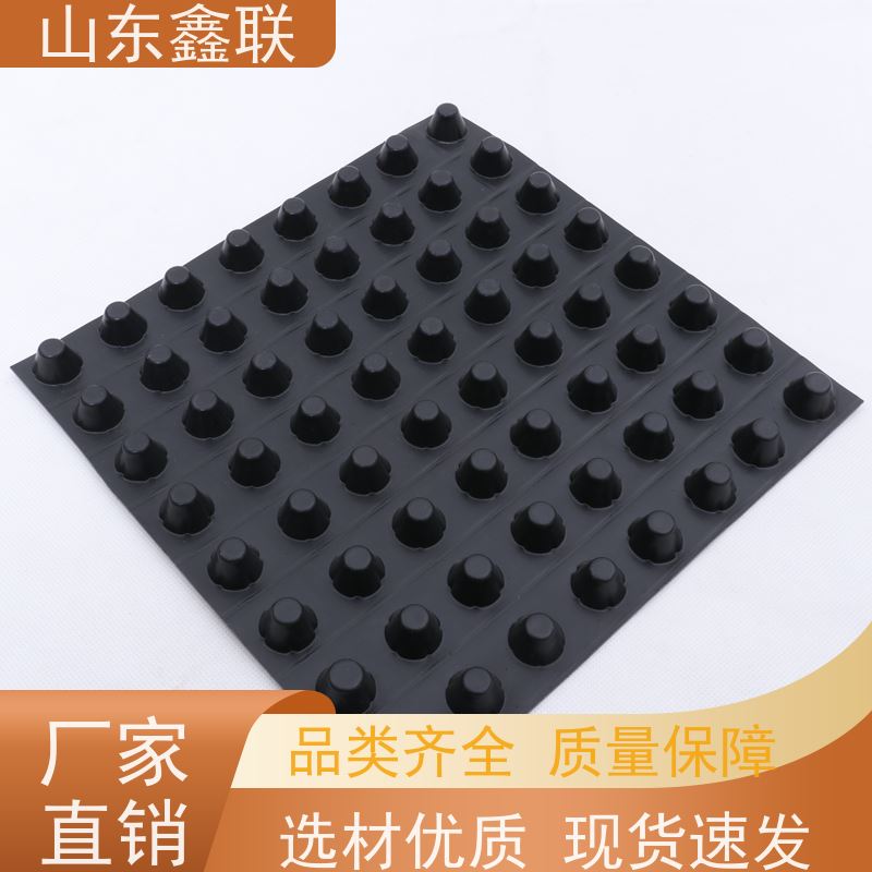 14厚成品塑料排水板 凹凸型聚乙烯透水板隧道路面用排水疏水板