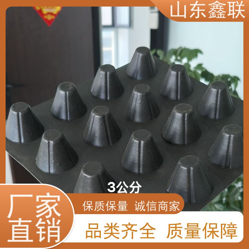 合肥塑料凸出塑料排水板 地下车库顶板绿化种植 20mm导水排水板