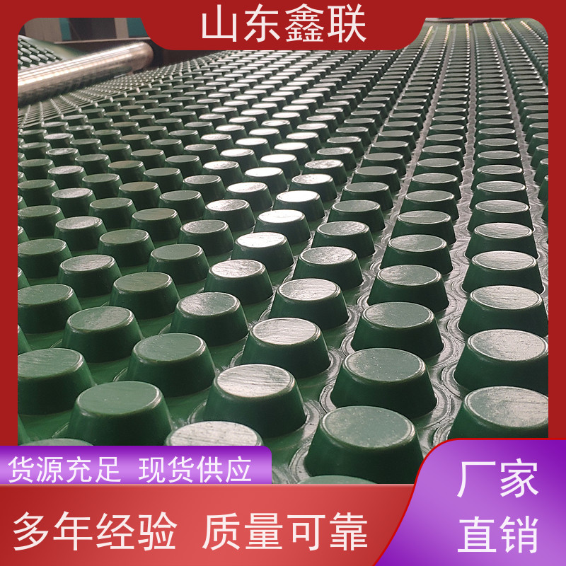 屋顶花园种菜楼顶绿化防排水板滤水板双面防阻根土工布疏水板