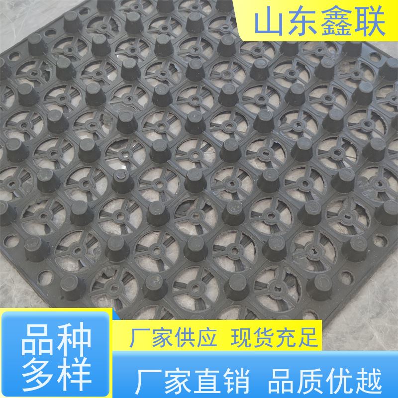 柳 州排水板 保护防水层 8mm高塑料滤水板可定制抗压强度