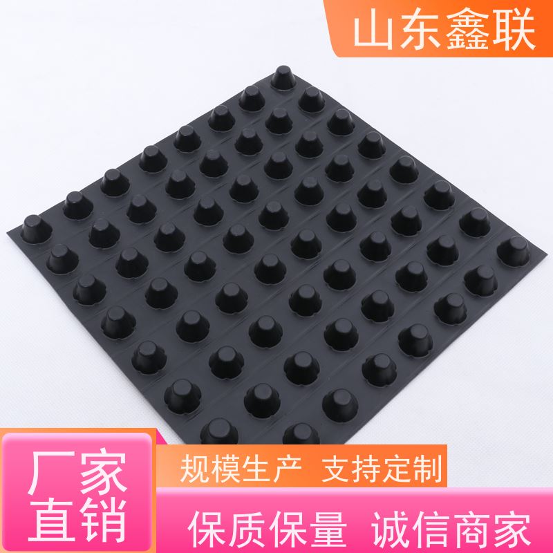 楼顶种植绿化用网状交织塑料排水板 高度2.0黑色蓄水板施工简单