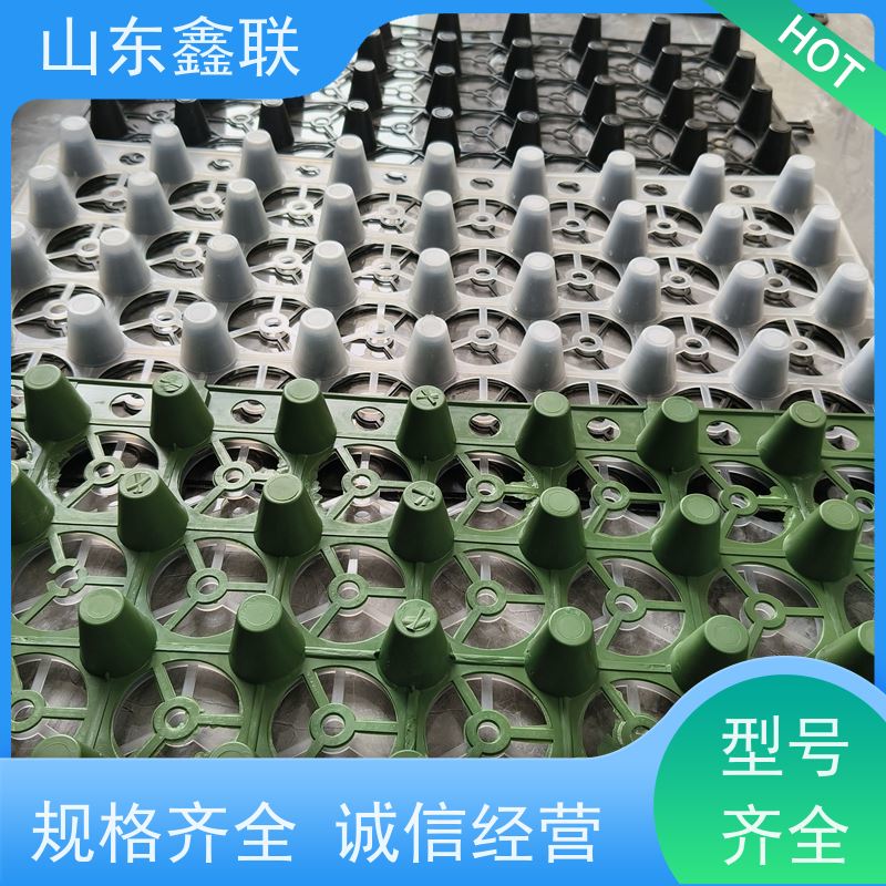 虹吸复合排水板 蜂窝型塑料保水排水格片 渗蓄排水效果好 H20mm