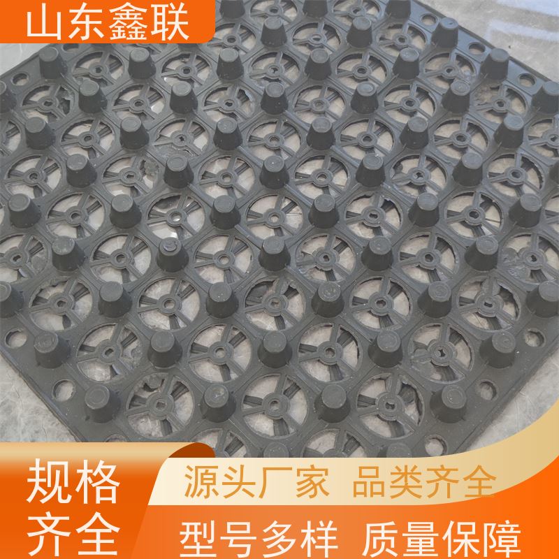塑料车库排水板 厂家 8mm-60mm所有规格都可定制 欢迎您前来咨询