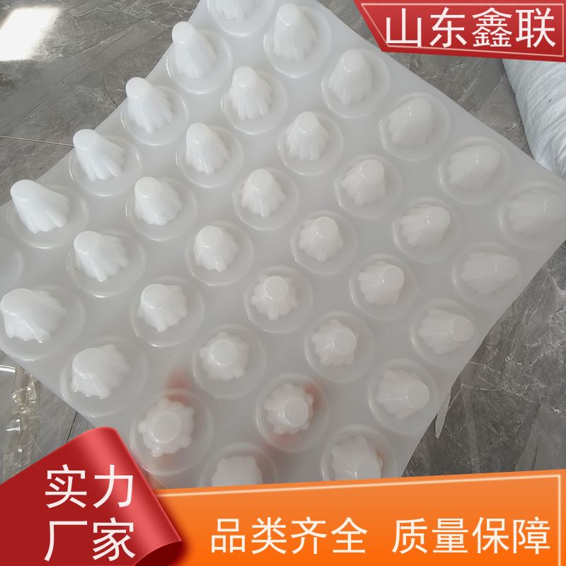 鑫联新专业生产塑料排水板 高强度板 支持定制 耐腐蚀