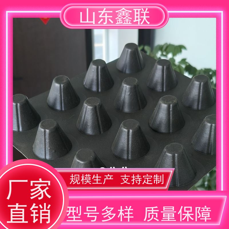 固态蓄水模块及 高密度聚乙烯防排保护板 海绵城市 介子土