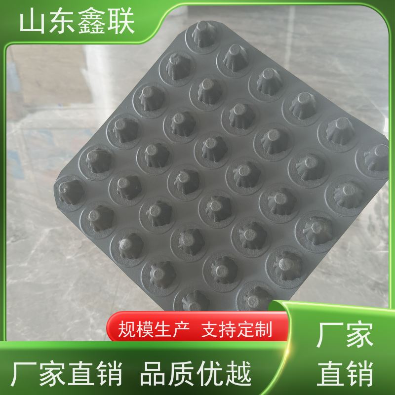 HDPE塑料排水板 H30 车库顶板绿化屋顶花园专用 鑫联新新