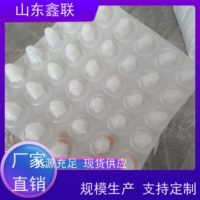 鑫联新 塑料凹凸种植透水高密度聚乙烯车库顶板排水板H20