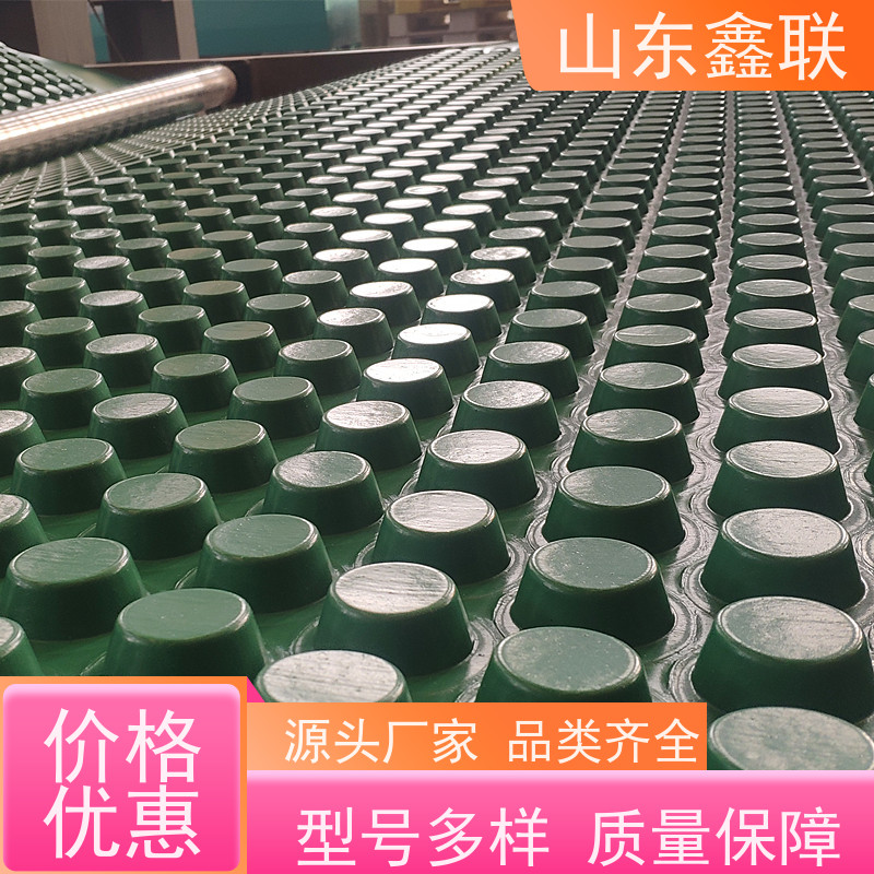 鑫联新 塑料夹层排水板（成品） 凸片排水层 建筑工程 耐腐蚀