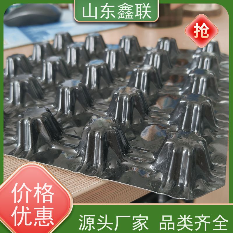 屋顶绿化HDPE土工布塑料虹吸排水板地下室储水凹凸蓄排板疏水板材