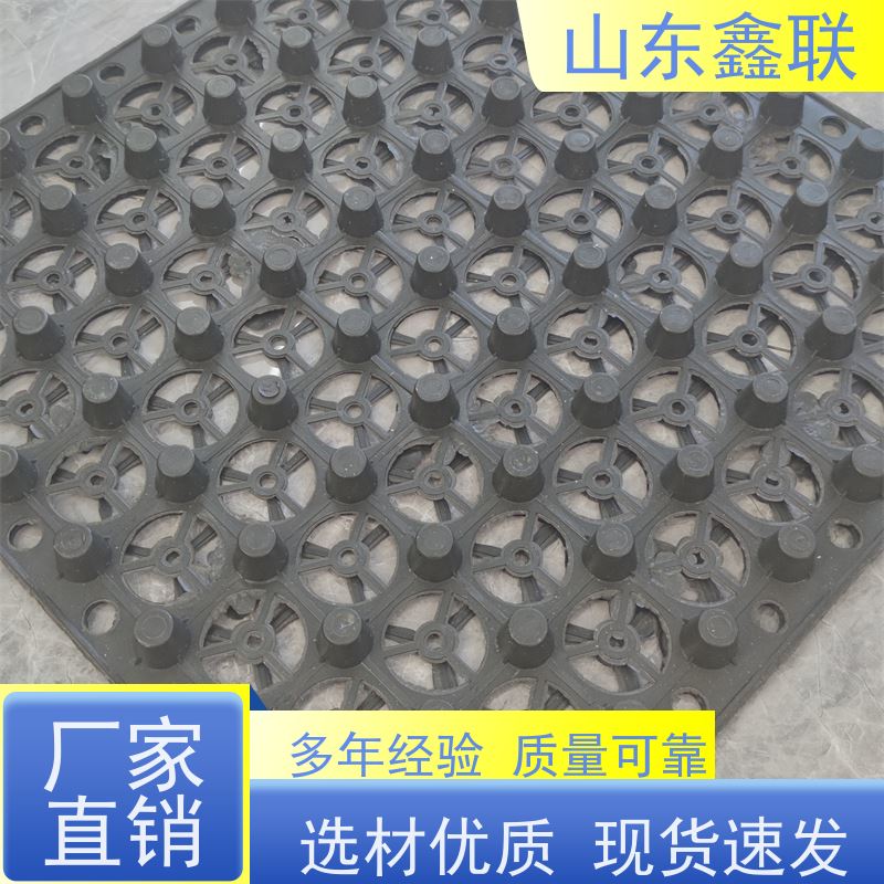 黑色卷材塑料排水板 地下室车库屋顶绿化楼顶阻根疏水板 遵 义蓄水板