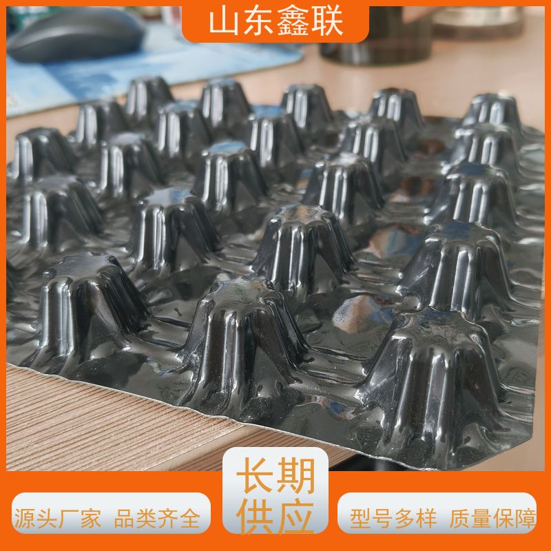毕 节疏水板花园种植绿化 网状交织凹凸型30高塑料凸片
