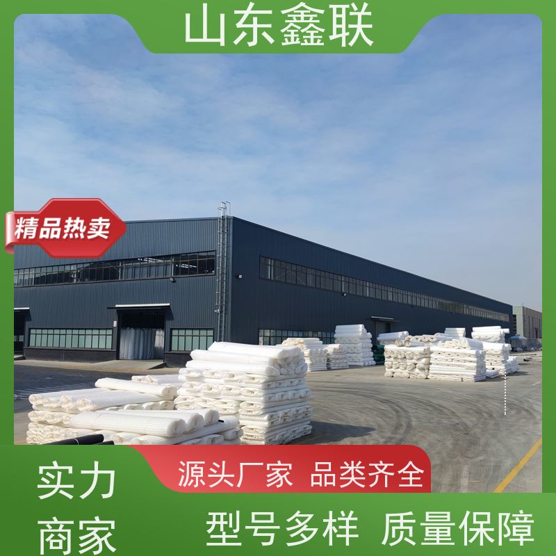 屋顶绿化疏水板 凹凸型塑料排水版 耐腐蚀阻根卷材蓄水板滤水板