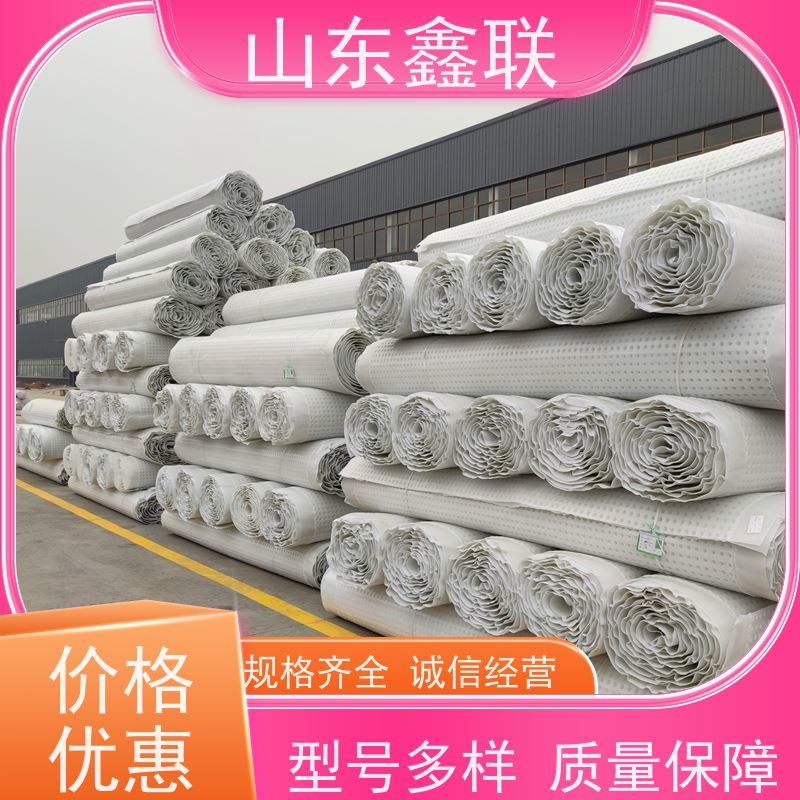 鑫联新新 耐腐蚀凹凸型 HDPE 园林绿化用车库顶板 滤水板塑料排水板