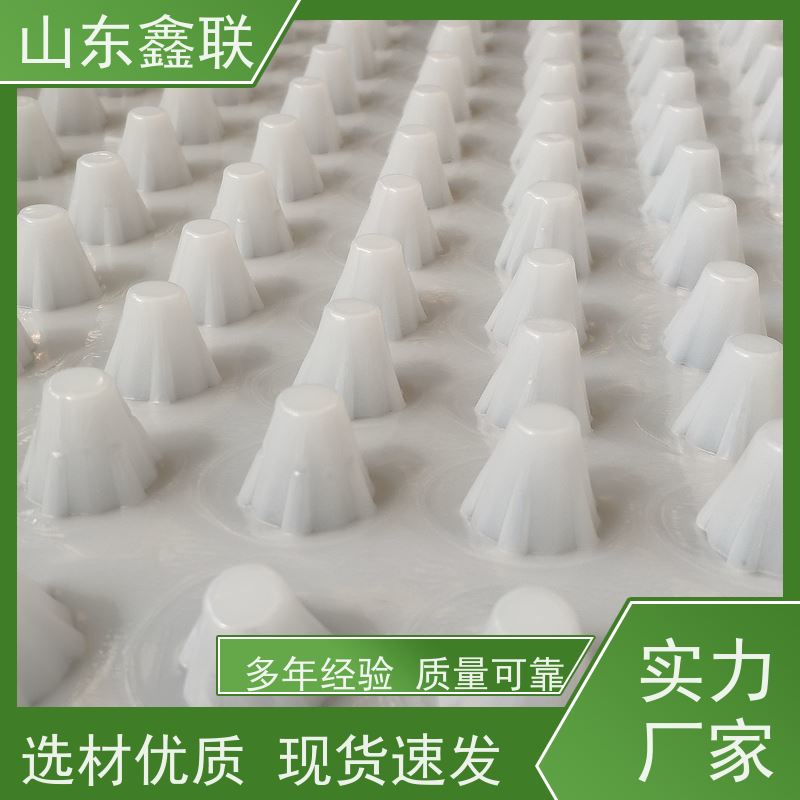 阻根板卷材排水板hdpe种植屋面生产加工支持定制高强度