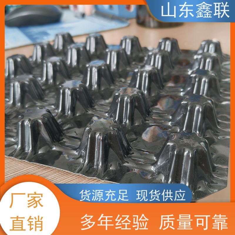塑料块状排蓄水板 车库顶板凸点向下鑫联新源头厂家