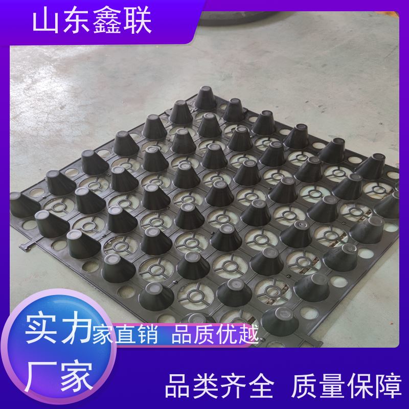 鑫联新 凹凸型排蓄水板 塑料凸片排水层 建筑工程 免费邮寄样品