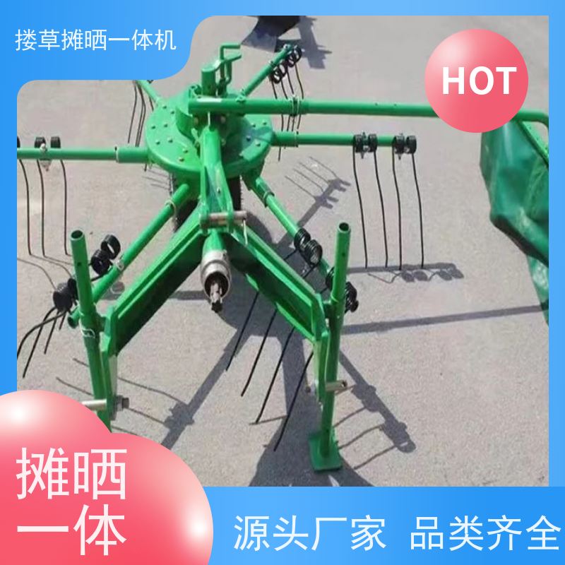 高效旋转式摊晒机畜牧草场必备农用机械