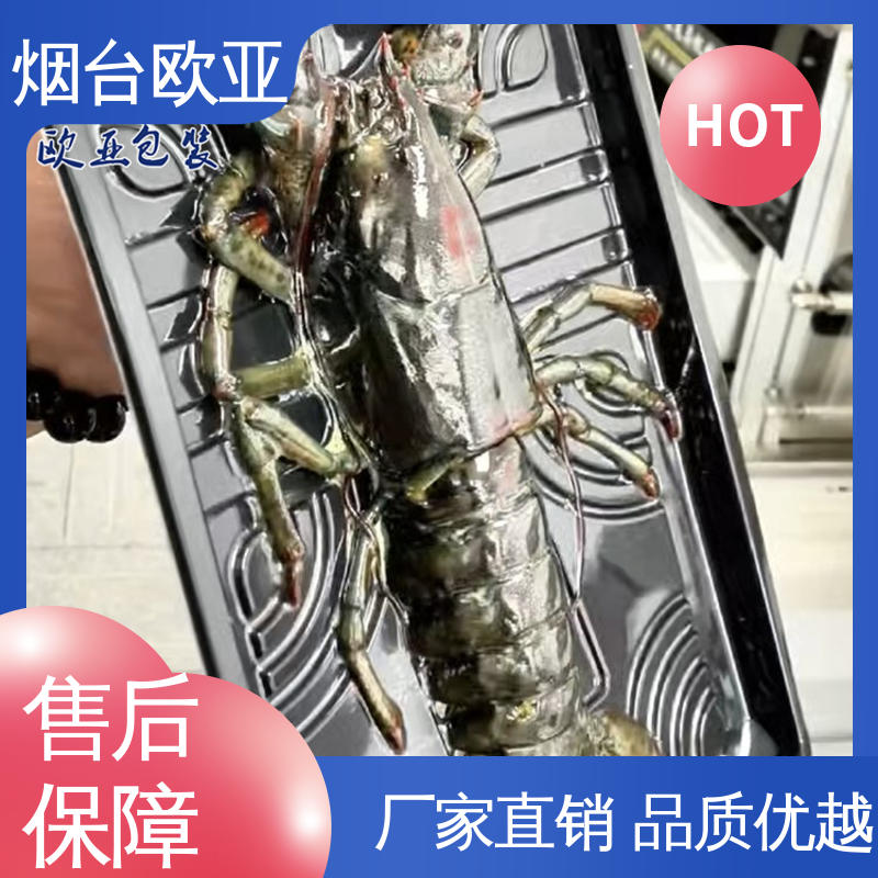 欧亚包装 耐冻耐热 厚度可定制 规格多样 PET包装膜