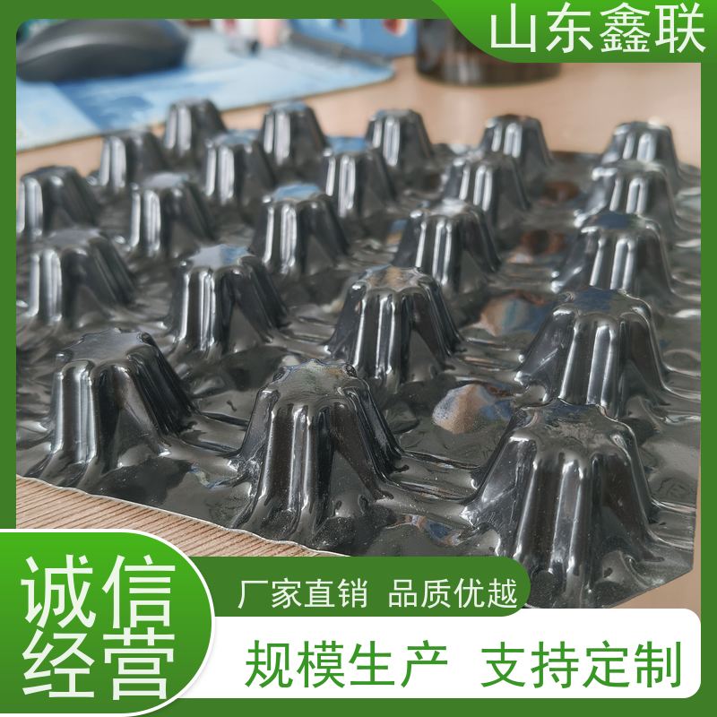 虹吸复合排水板 HDPE高密度聚乙烯疏水板 H20mm凹凸型塑料透水板