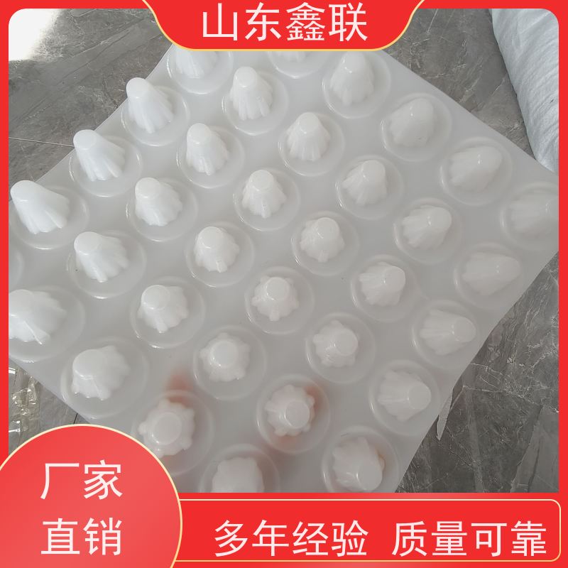 双泽 塑料凹凸排水板 地下室沥水疏水板 2公分蓄水板厂家现货
