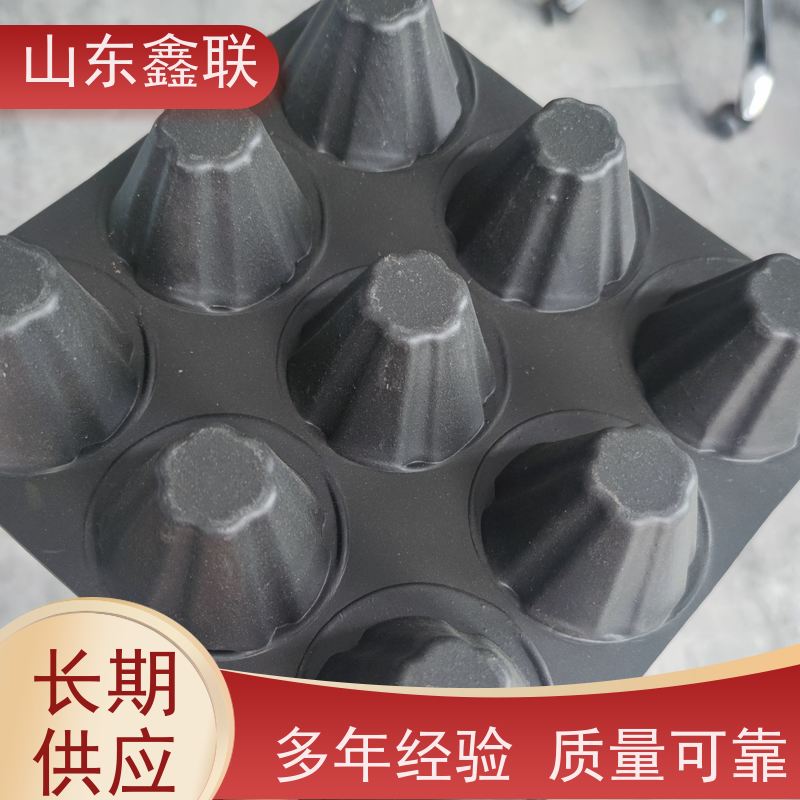 防汛应急管涌滤垫堤坝防护排水网兜多用途网状交织排水板