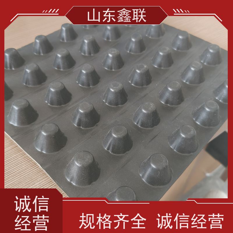 鑫联新生产厂家 楼顶绿化3公分双面滤水板 HDPE凹凸排水板